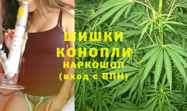 индика Аркадак