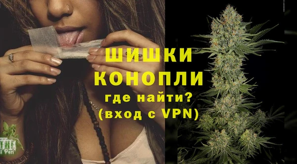 индика Аркадак
