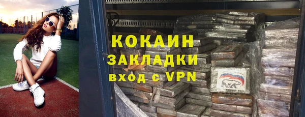 индика Аркадак