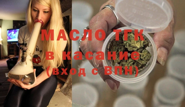 индика Аркадак